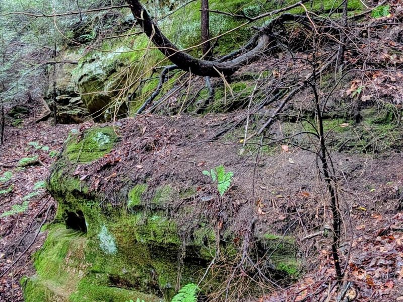 24639 Ohio 180 , Rockbridge, OH 43149 Photo 31