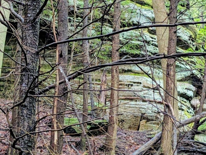 24639 Ohio 180 , Rockbridge, OH 43149 Photo 39