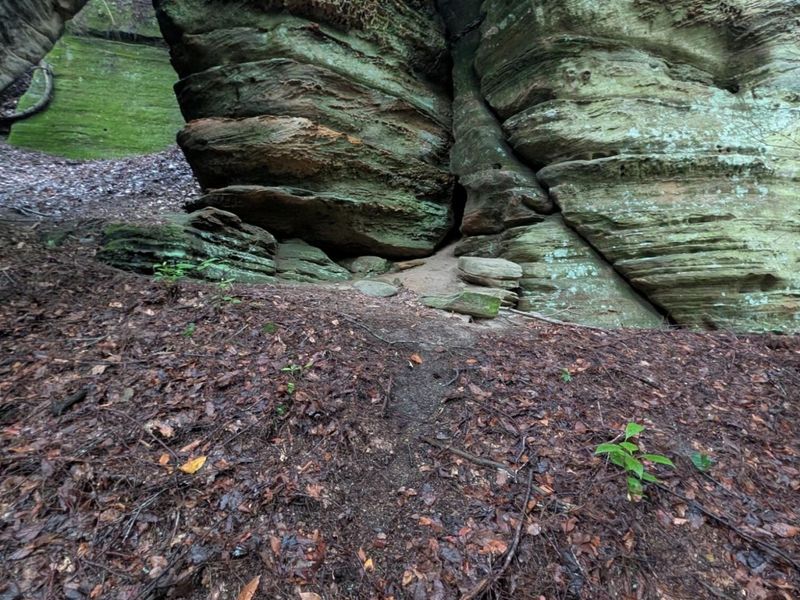 24639 Ohio 180 , Rockbridge, OH 43149 Photo 45