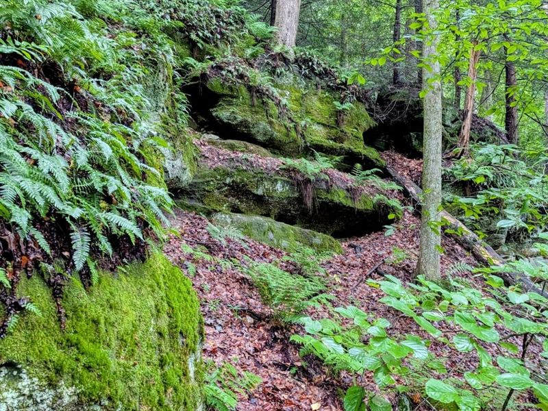 24639 Ohio 180 , Rockbridge, OH 43149 Photo 46