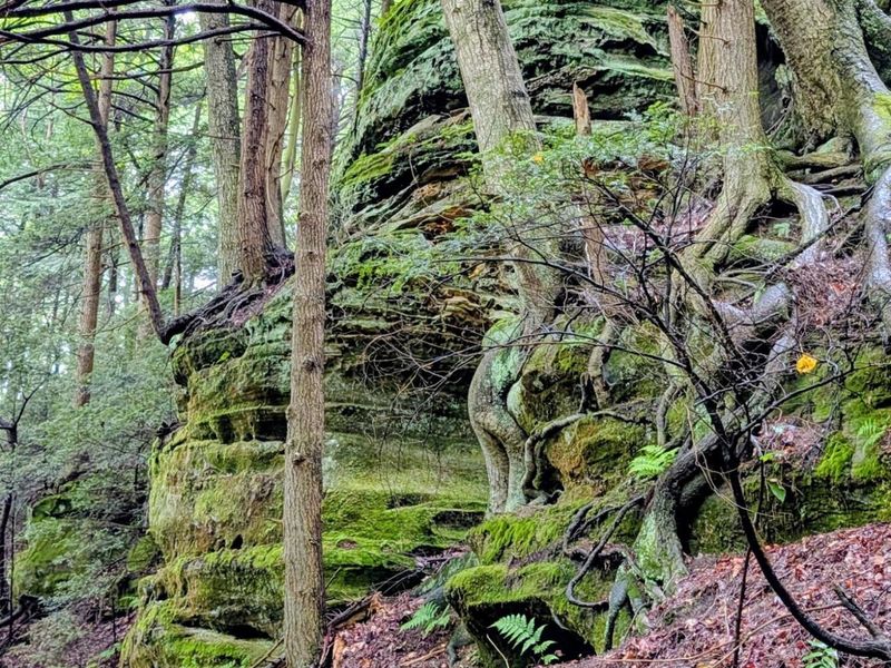 24639 Ohio 180 , Rockbridge, OH 43149 Photo 7