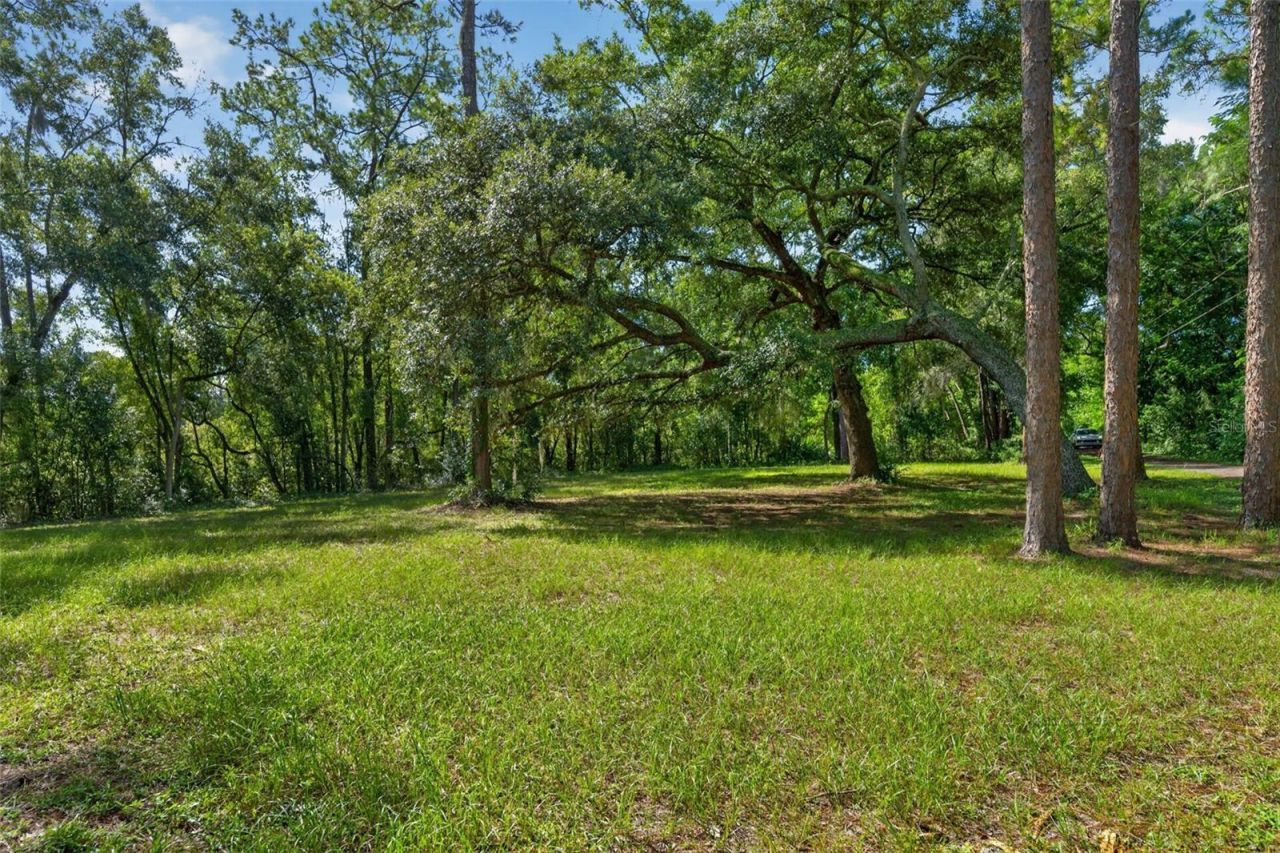 401 N 1st Street, Lake Mary, FL 32746 Photo