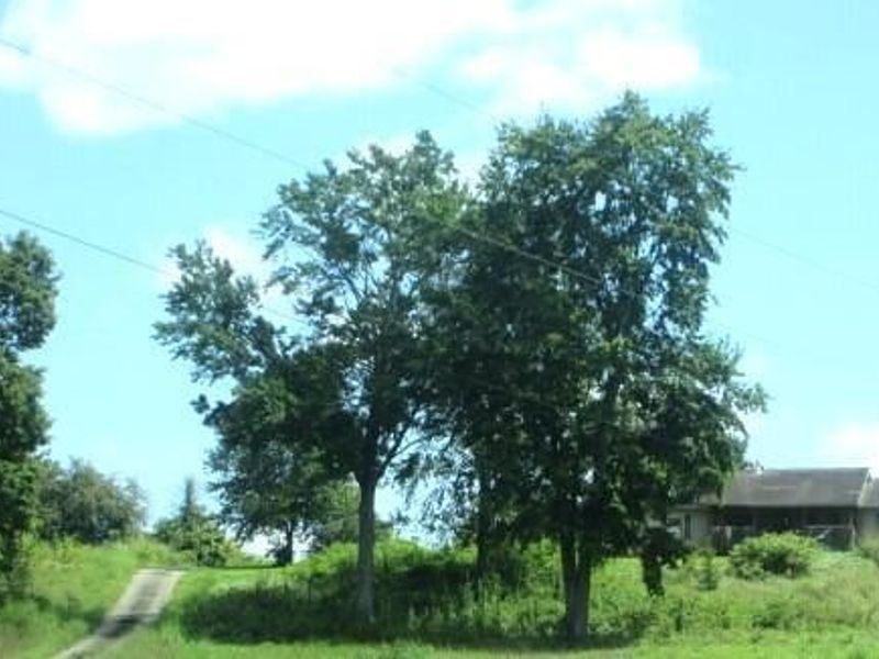 210 Wilson Run Road , Chillicothe, OH 45601 Photo 2