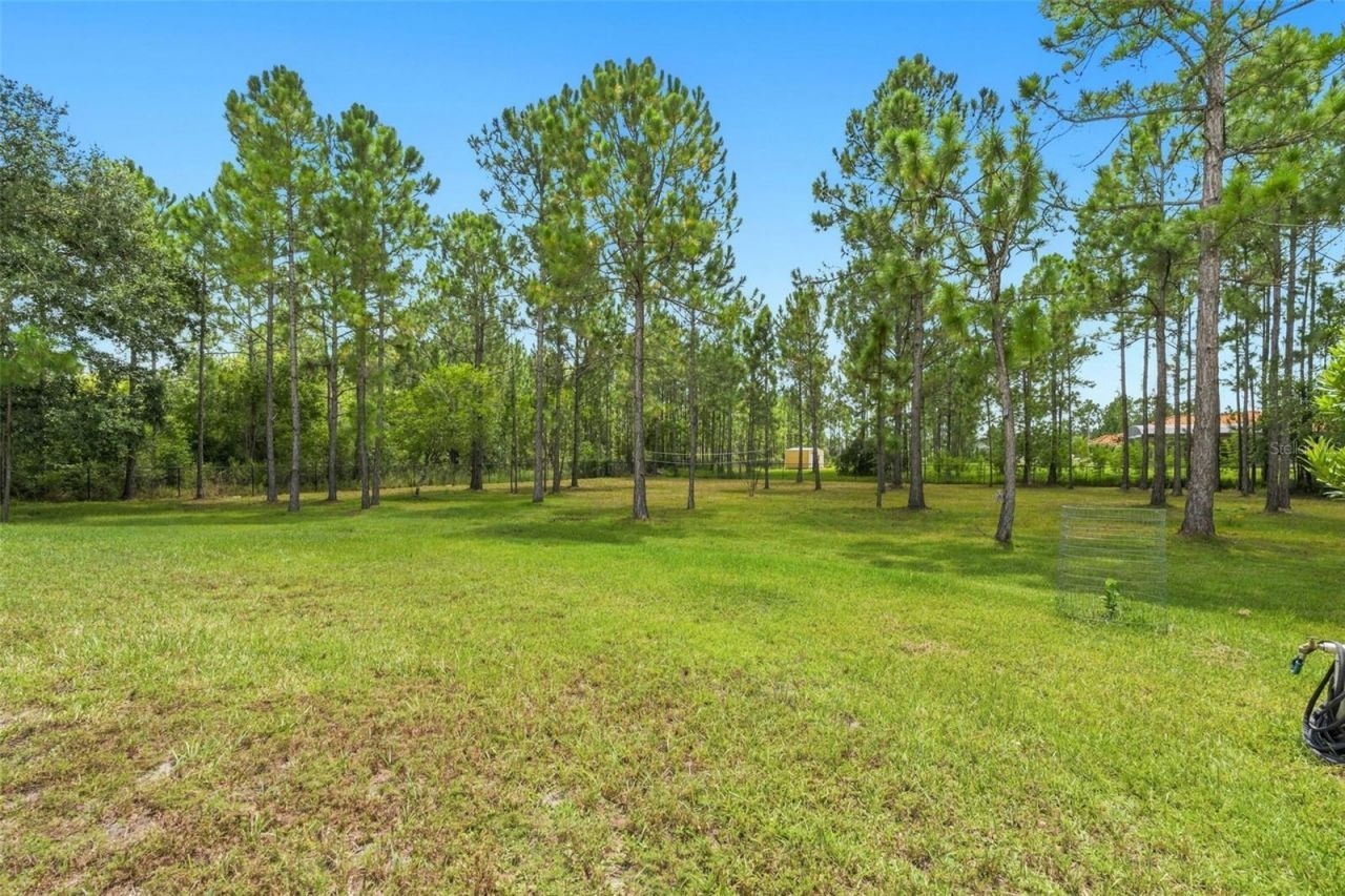 19118 Palmland Street, Orlando, FL 32833 Photo