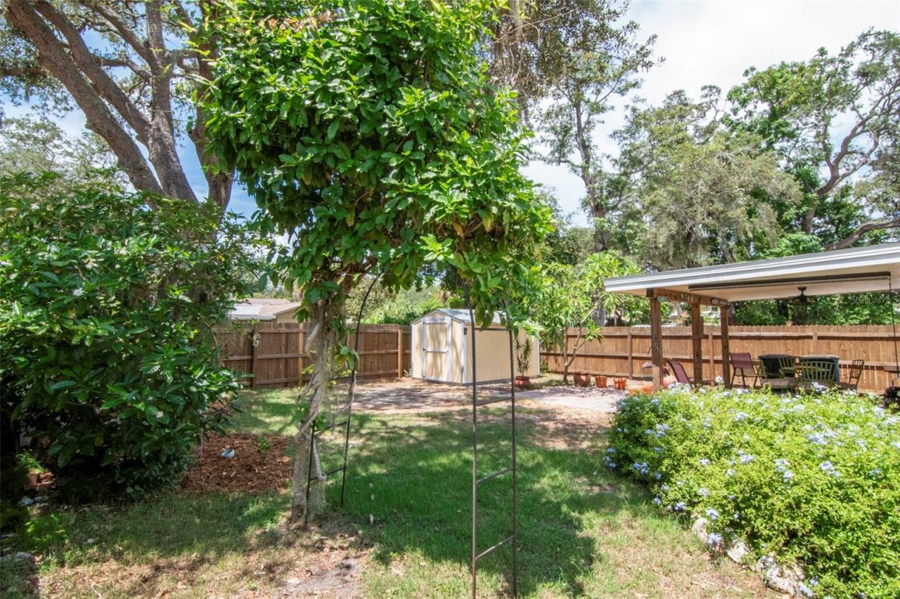 1928 Springtime Avenue , Clearwater, FL 33755 Photo