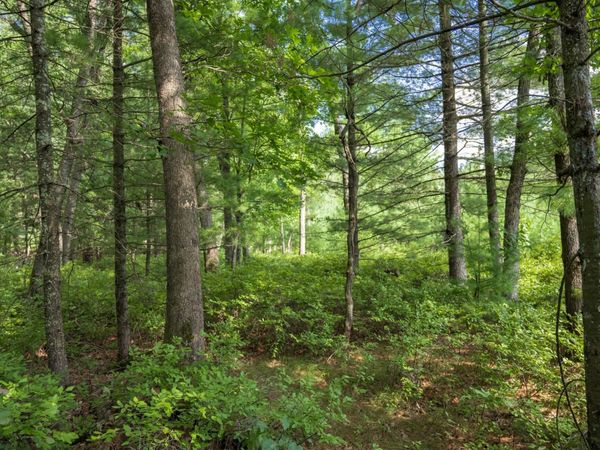 3 acres 41st Street, Mauston, WI 53948
