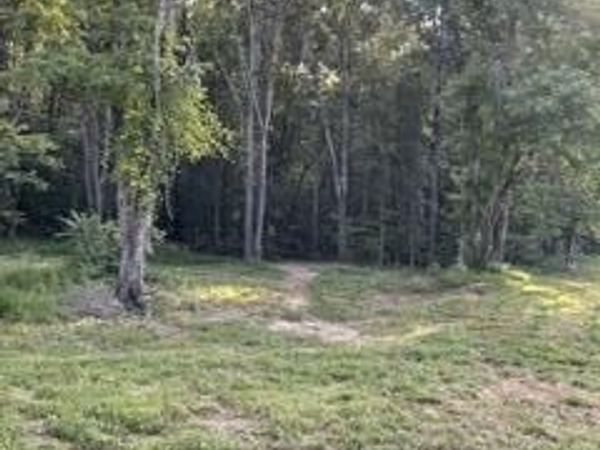 250 Wells Rd, Powell, TN 37849