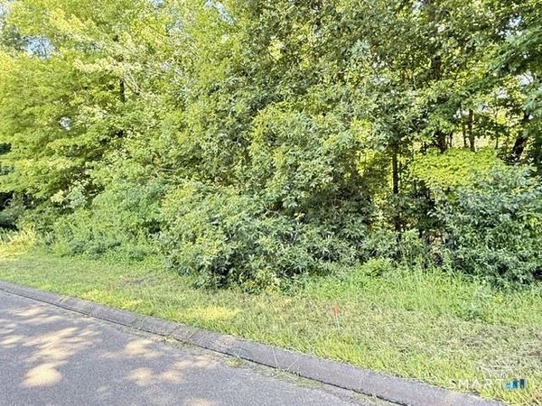 Beaver Dam , Killingworth, CT 06419
