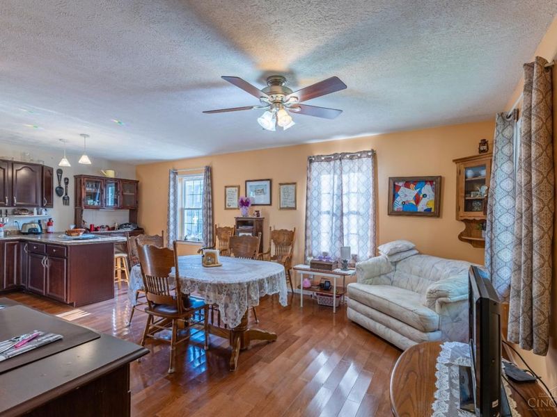 187 Vine Street, Peebles, OH 45660 Photo 26