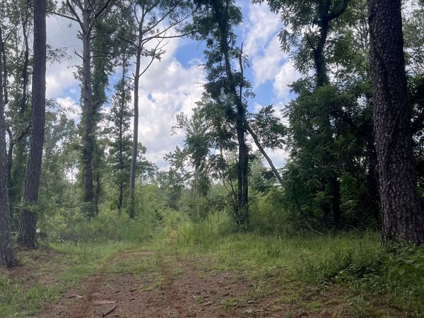 0 Anderson Road, Woodland, GA 31836