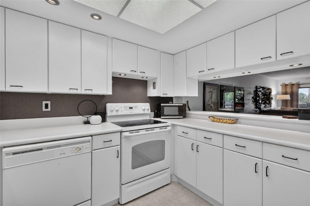 101 N Grandview Street, Unit 412, Mount Dora, FL 32757 Photo