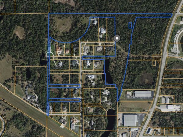 12631 SW COUNTY ROAD 769 , LAKE SUZY, FL 34269