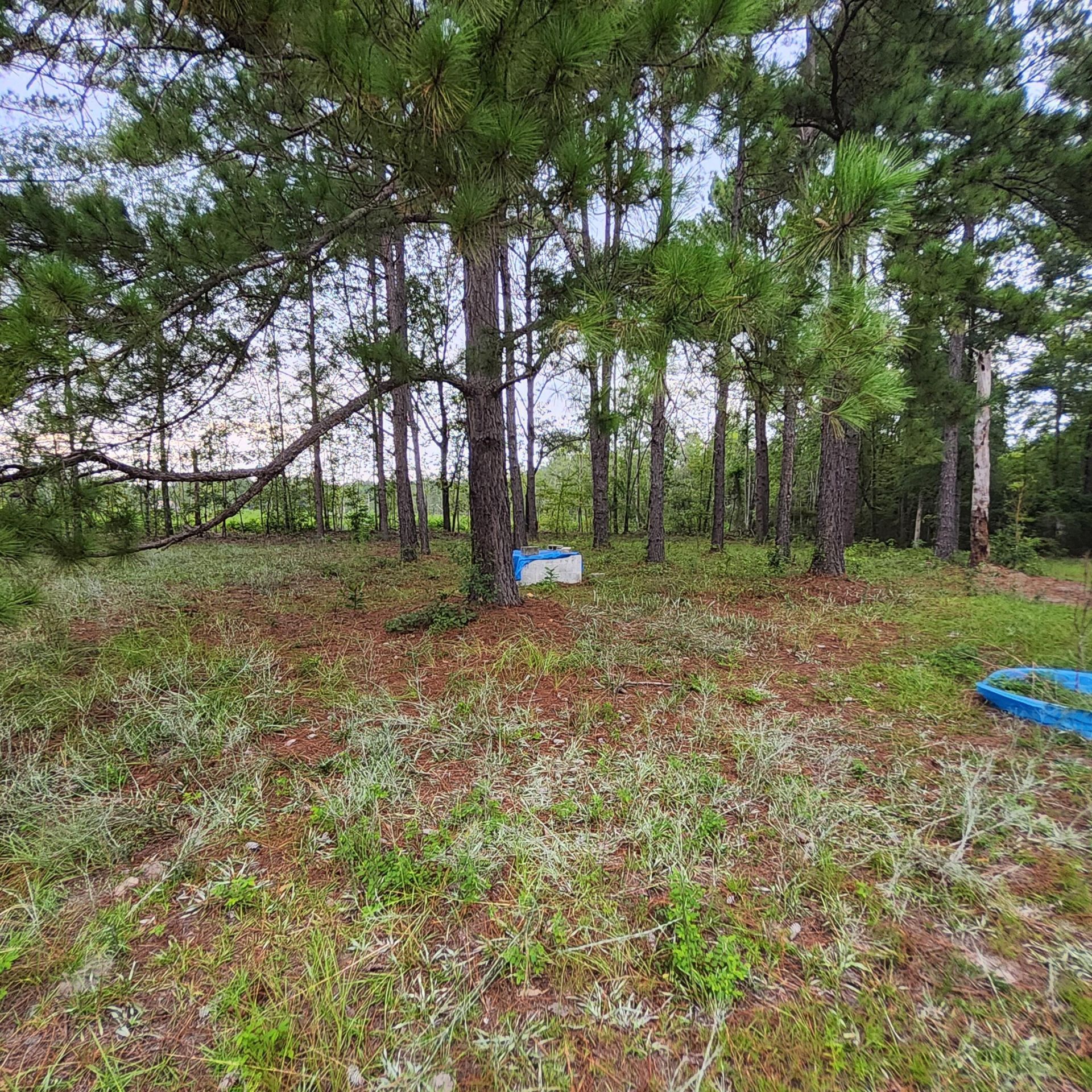 1078 Sullivan Drive Photo 4