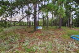 1078 Sullivan Drive photo 4