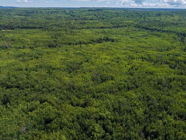 40 Acres Near State Hwy 13, Herbster, WI 54844