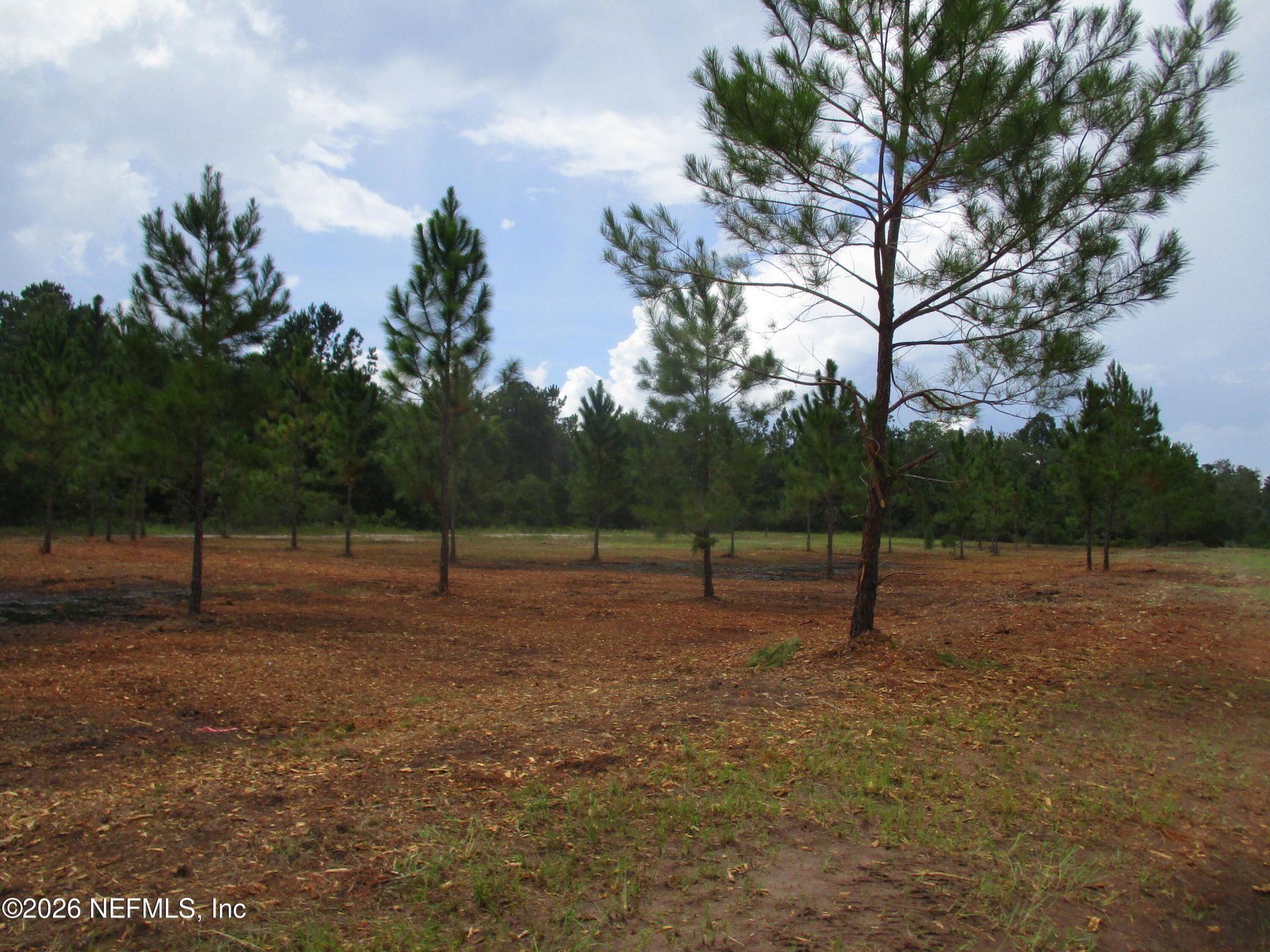 0000 New Oak & 6th Street, Hilliard, FL 32046 Photo