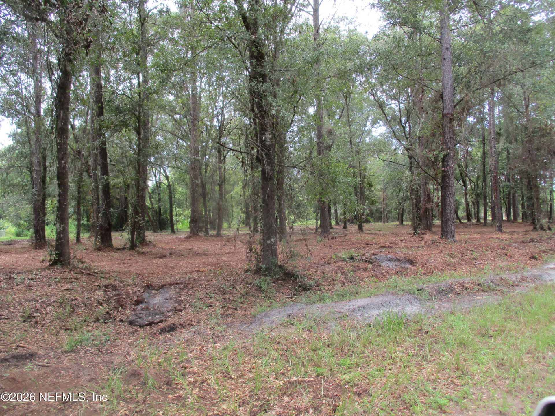 0000 New Oak & 6th Street, Hilliard, FL 32046 Photo