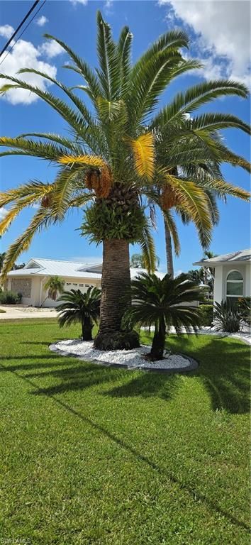 1210 SE 21st Ave , Cape Coral, FL 33990 Photo