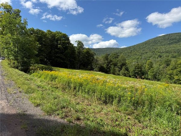 0 Lower Meeker Hollow Rd , Roxbury, NY 12474