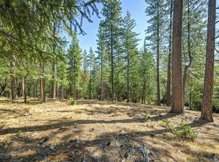 4070 Stope Dr, Placerville, CA 95667 Photo