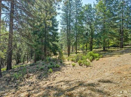 4070 Stope Dr, Placerville, CA 95667 Photo