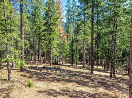 4072 Stope Dr, Placerville, CA 95667 Photo