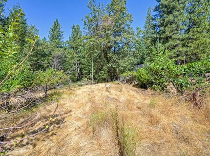 4072 Stope Dr, Placerville, CA 95667 Photo