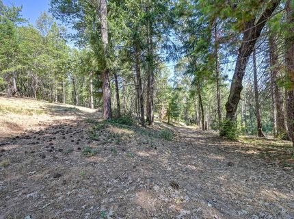 4072 Stope Dr, Placerville, CA 95667 Photo