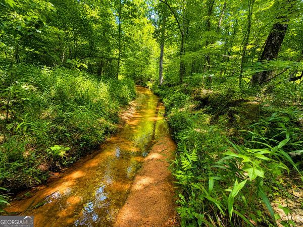 29 ACRES Cochran Road, Madison, GA 30650