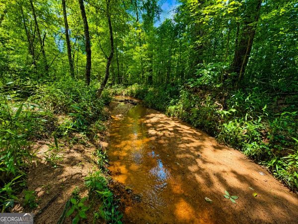 29 ACRES Cochran Road, Madison, GA 30650