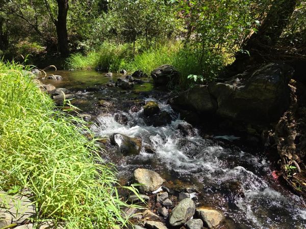 17378 Scopar Rd, Grass Valley, CA 95949