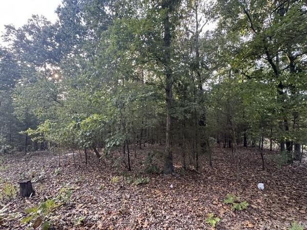 319 Bruce Mitchell Road, Ravenden Springs, AR 72460
