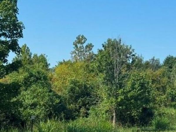 Brookside Drive, Blue Springs, MO 64015