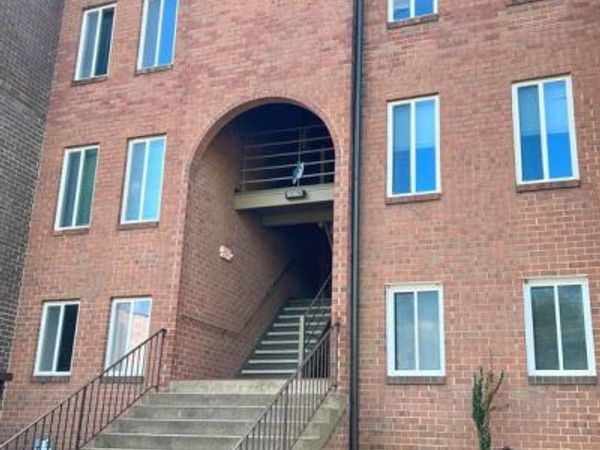 5083 7TH ROAD S , Unit T2, ARLINGTON, VA 22204