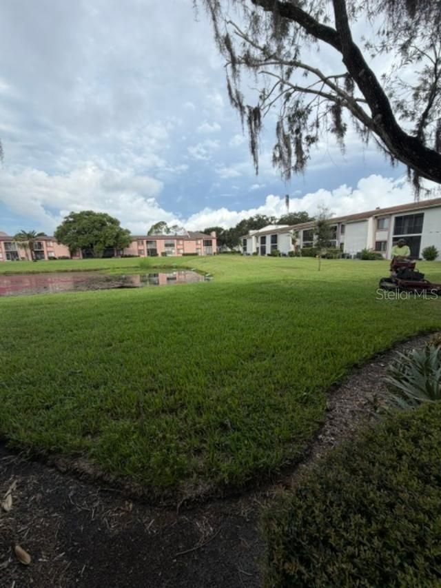 105 Lakeview Way , Unit 105, Oldsmar, FL 34677 Photo
