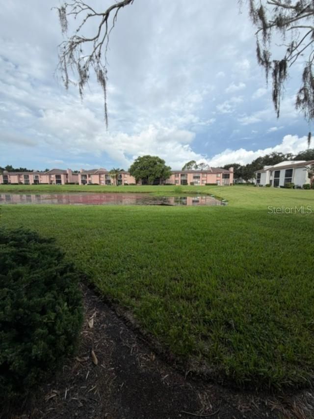 105 Lakeview Way , Unit 105, Oldsmar, FL 34677 Photo
