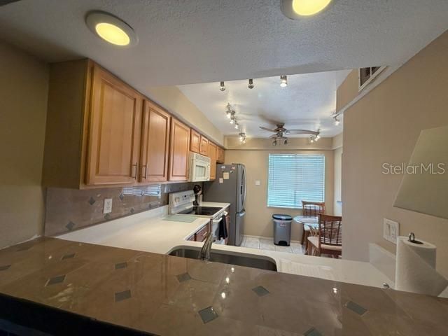 105 Lakeview Way , Unit 105, Oldsmar, FL 34677 Photo
