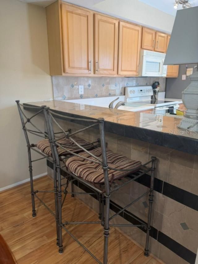 105 Lakeview Way , Unit 105, Oldsmar, FL 34677 Photo