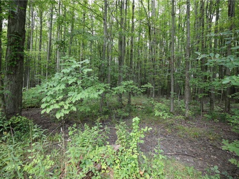 740 Footville Richmond Road E, Jefferson, OH 44047 Photo 13