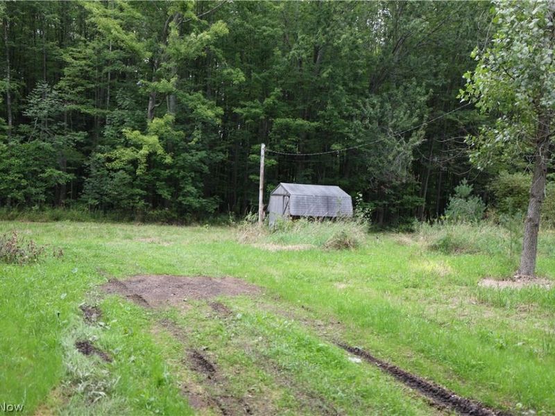 740 Footville Richmond Road E, Jefferson, OH 44047 Photo 3