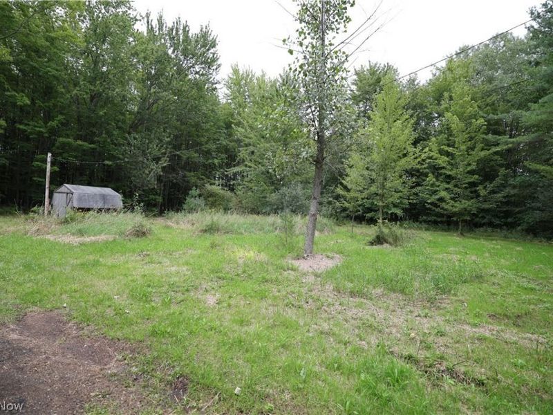 740 Footville Richmond Road E, Jefferson, OH 44047 Photo 4
