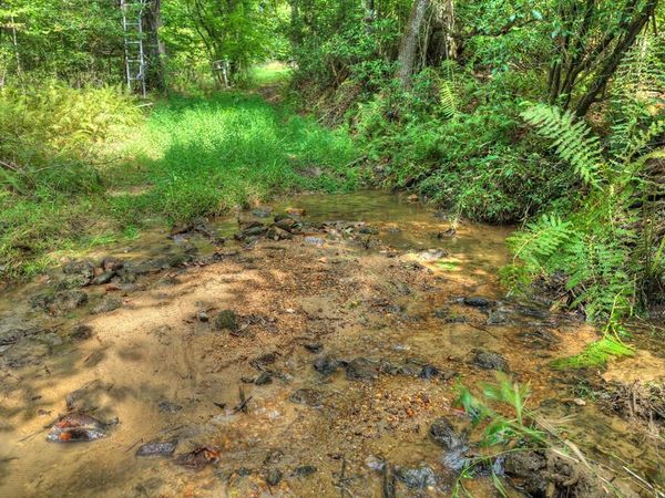 4.70 ac Chestnut Gap Lane, Blue Ridge, GA 30513