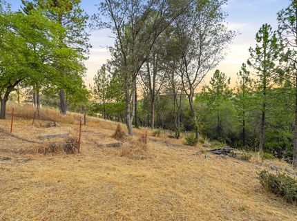 11657 Deerlick Rd, Rough and Ready, CA 95975 Photo