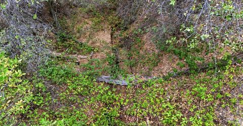 11657 Deerlick Rd, Rough and Ready, CA 95975 Photo