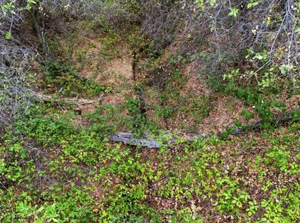 11657 Deerlick Rd, Rough and Ready, CA 95975 Photo