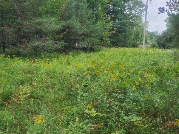 M-55, Whittemore, MI 48770