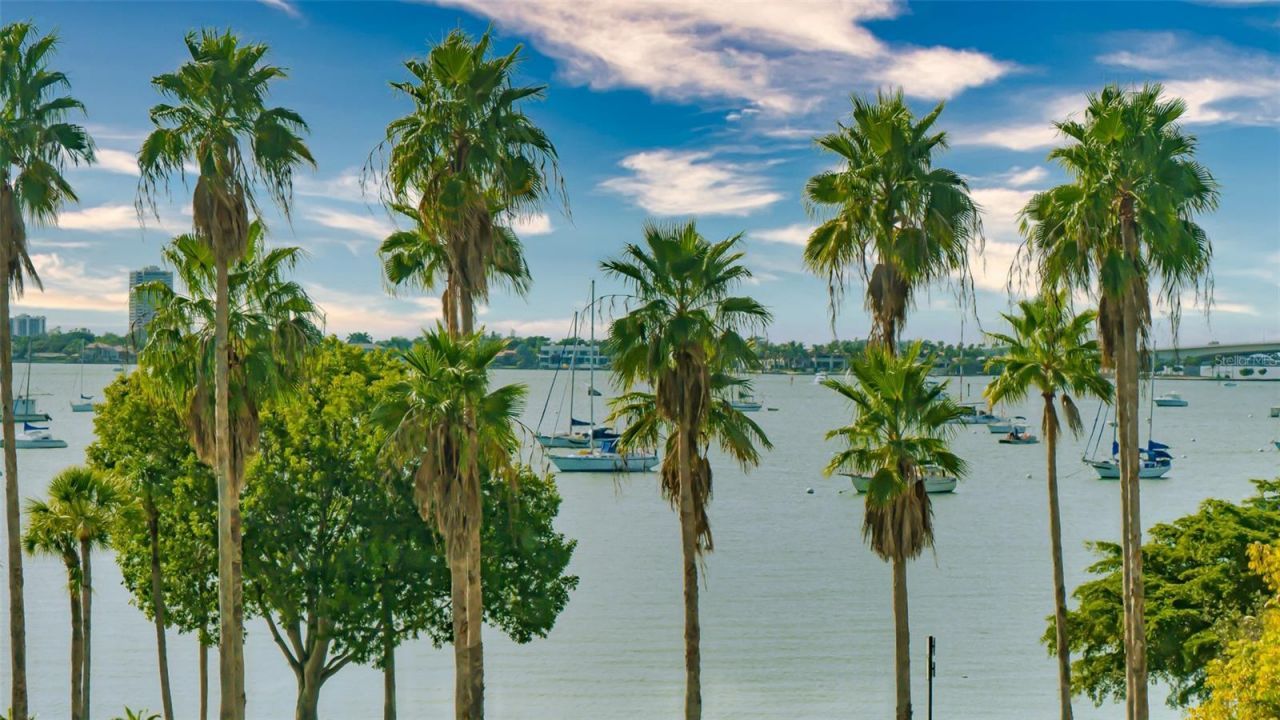 707 S Gulfstream Avenue, Unit 807, Sarasota, FL 34236 Photo