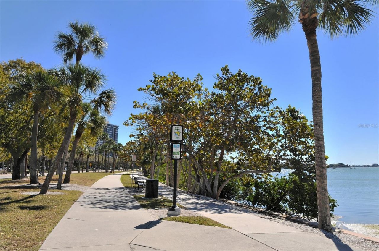 707 S Gulfstream Avenue, Unit 807, Sarasota, FL 34236 Photo