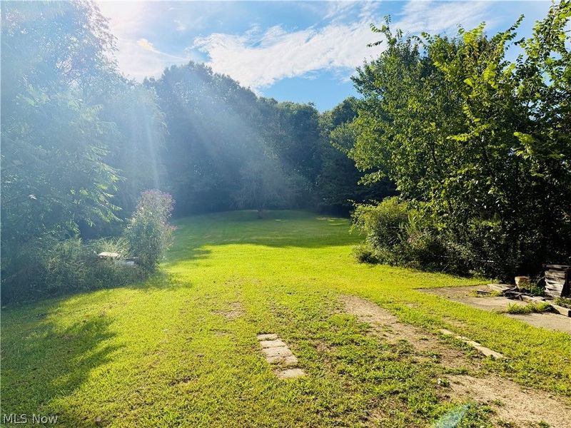44373 Y And O Road, Wellsville, OH 43968 Photo 4
