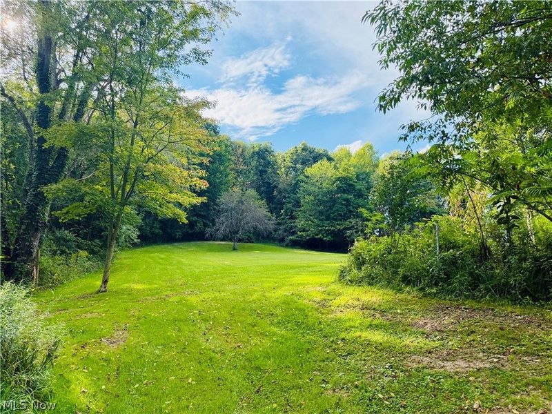 44373 Y And O Road, Wellsville, OH 43968 Photo 5